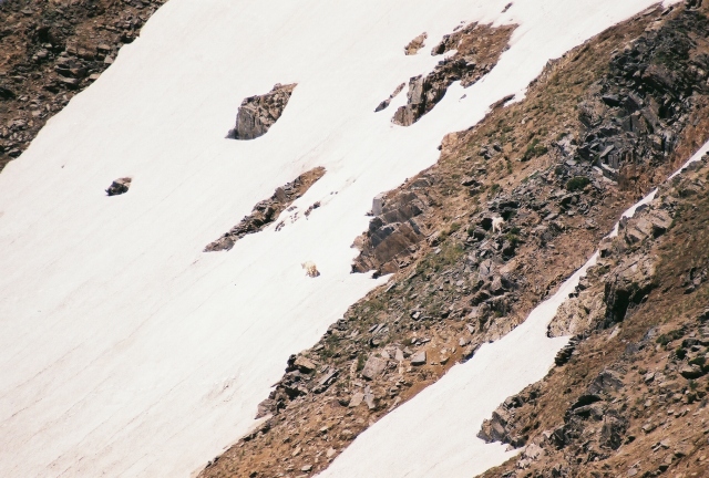 0876203-R1-017-7.jpg